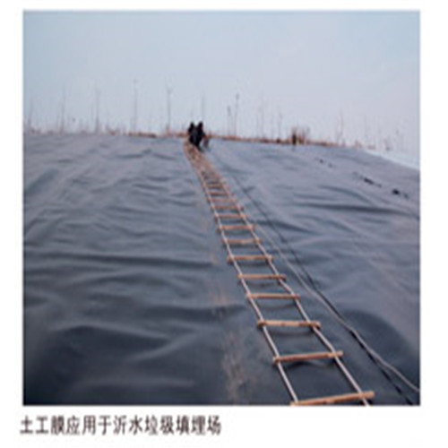 孫吳土工膜,防滲土工膜當?shù)貜S家值得信賴