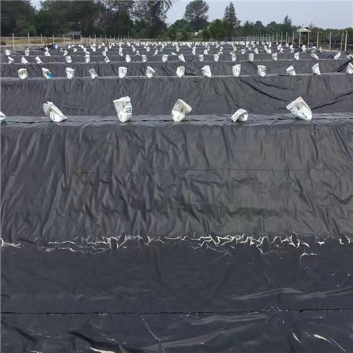 豐都土工膜隧道用防滲防水板專業(yè)的生產(chǎn)廠家