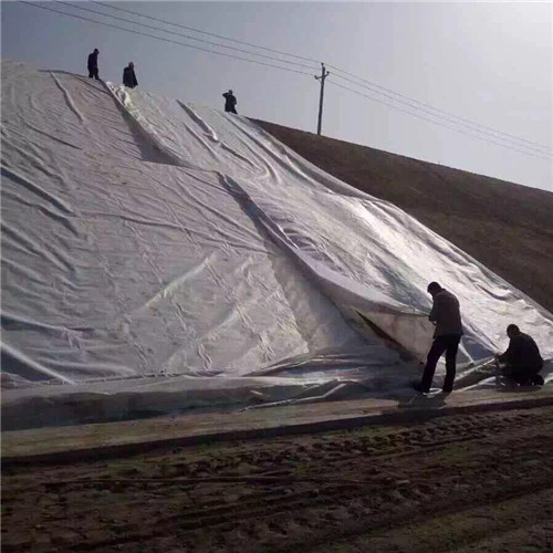 土工膜,儲(chǔ)油罐防滲土工膜出廠嚴(yán)格質(zhì)檢