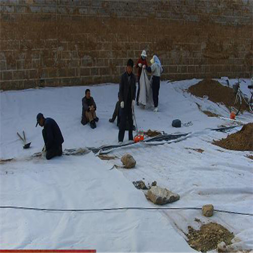 霸州土工膜-防滲復合土工膜用的放心