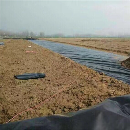 夷陵土工膜-藕池防滲膜送貨上門(mén)