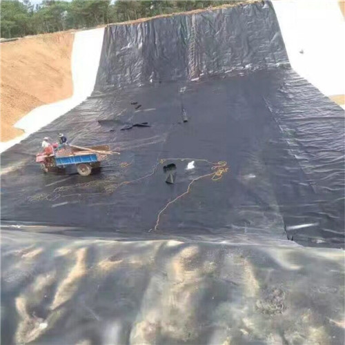 天臺土工膜,儲油罐防滲土工膜專注產(chǎn)品質(zhì)量與服務(wù)