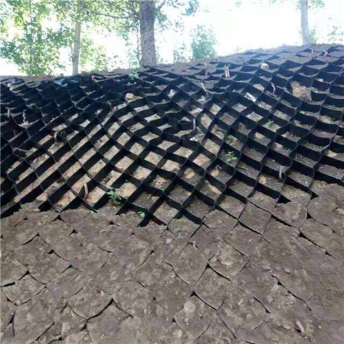 北關(guān)土工格室蜂窩土工網(wǎng)格追求細(xì)節(jié)品質(zhì)