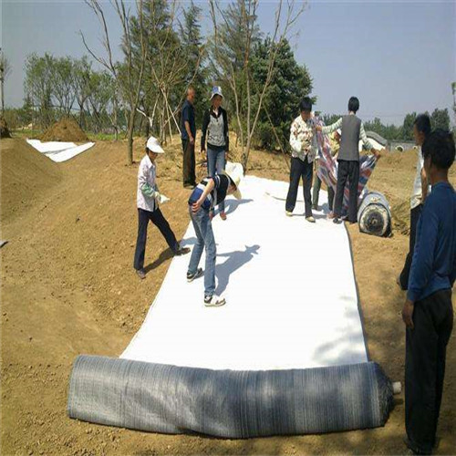 營(yíng)口防水毯5公斤防水毯快捷物流