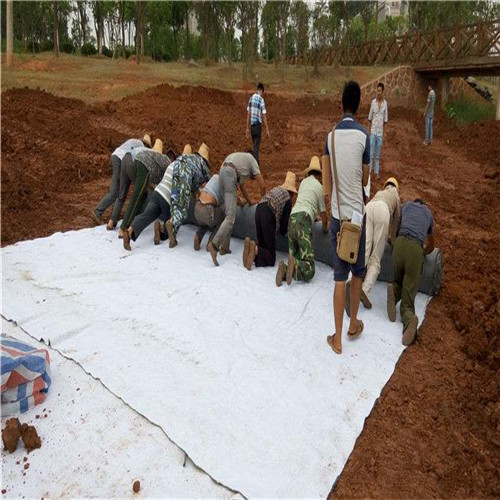 臨潭防水毯GCL防水毯自營品質(zhì)有保障