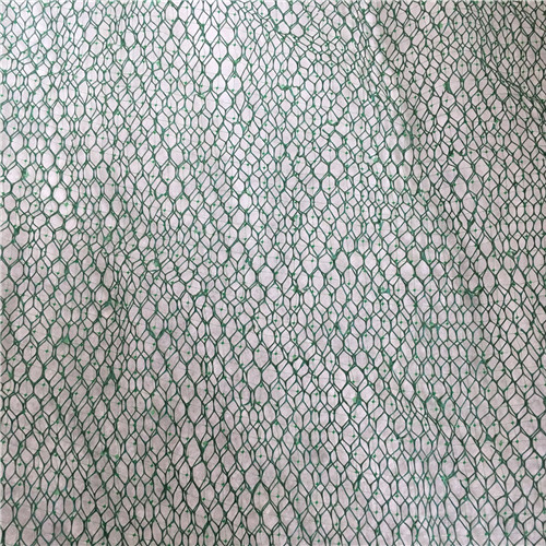 欽州三維植被網(wǎng)-土工網(wǎng)按需定制