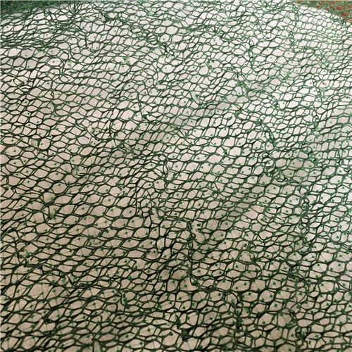 雷州三維植被網(wǎng)三維土工網(wǎng)墊今日新品