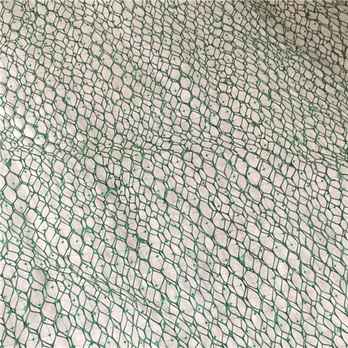 若爾蓋三維植被網(wǎng)三維網(wǎng)墊價(jià)格透明
