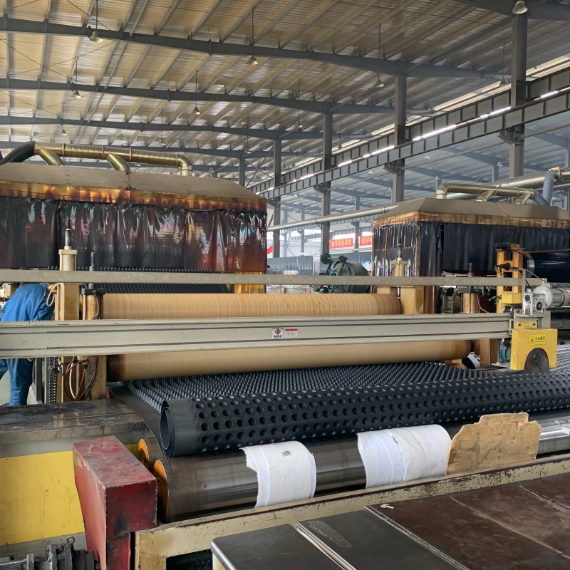 景德鎮(zhèn)排水板HDPE排水板設備齊全支持定制