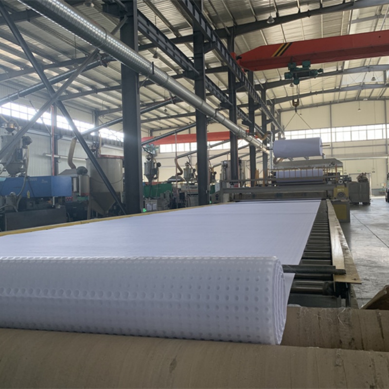 古藺排水板50mm厚排水板行業(yè)優(yōu)選