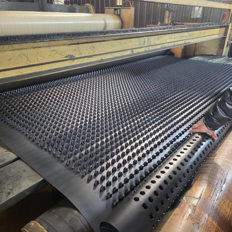 泰寧排水板-HDPE排水板現(xiàn)貨滿足大量采購