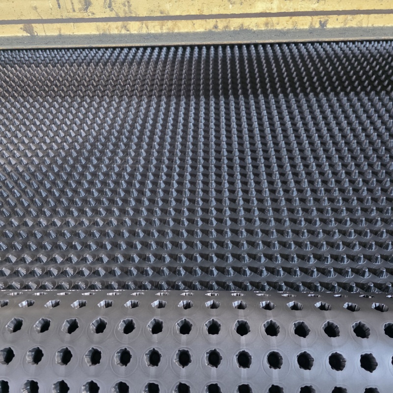 濉溪排水板20mm厚疏水板優(yōu)質(zhì)貨源