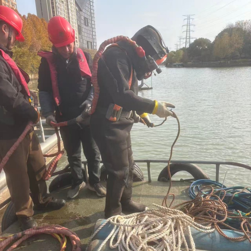 連云港贛榆賣水下打撈的實力廠家