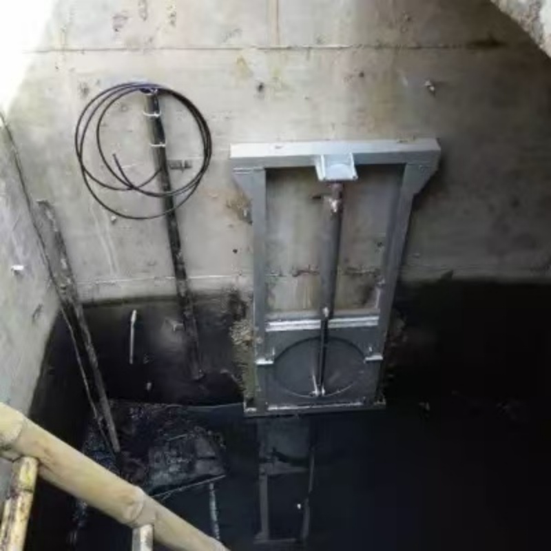 規(guī)格全的咸寧手提木制閘門生產廠家