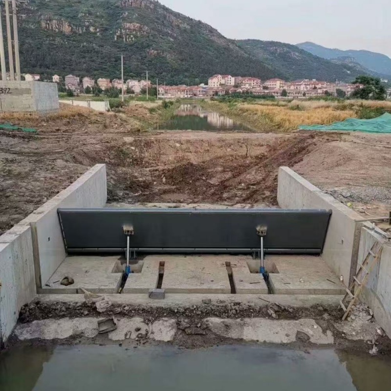 2026品質(zhì)過硬#保山騰沖翻板閘門廠家#解決方案