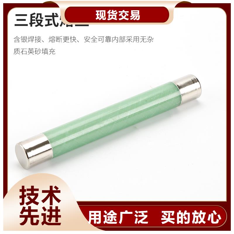 RNK-6/125A双管限流熔断器品质有保障