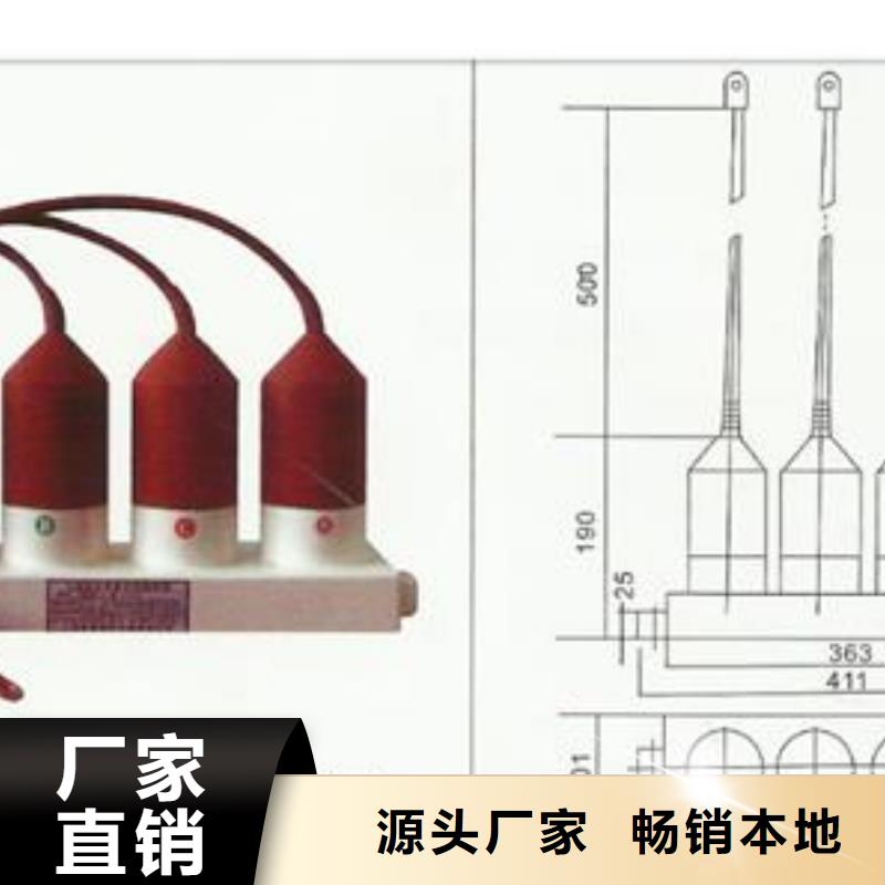 计数器跌落式熔断器实体诚信经营拒绝差价