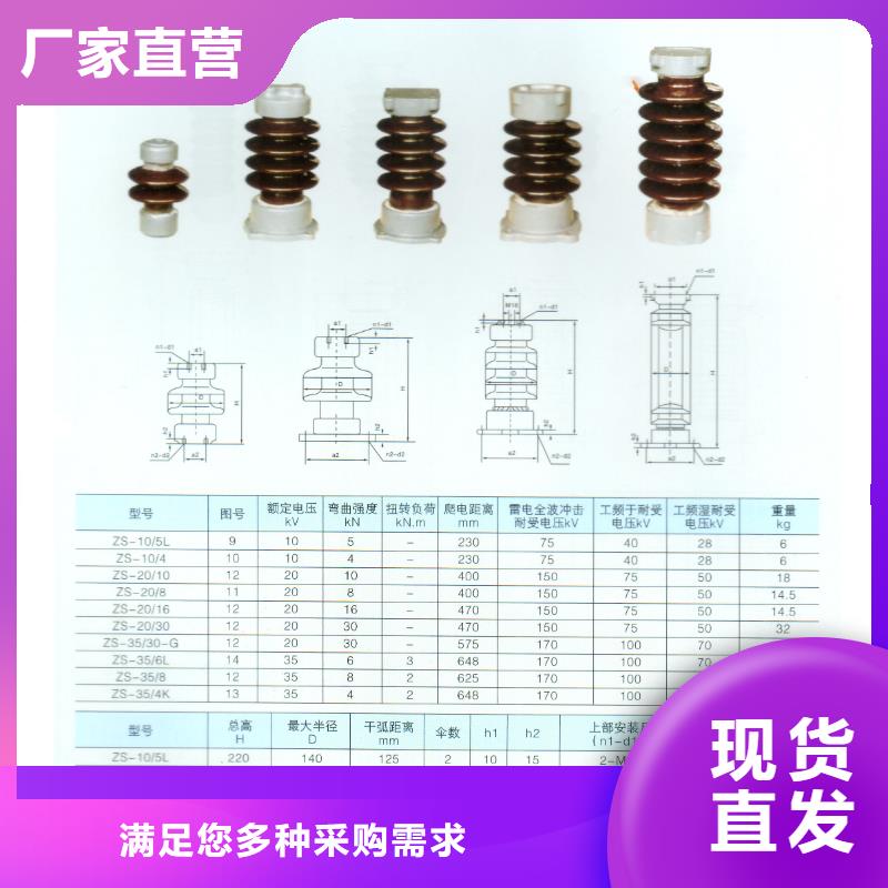 ZJ-35KV/120*380环氧树脂绝缘子本地生产商