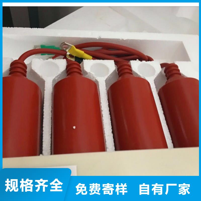 【过电压保护器】氧化锌避雷器厂家精品选购同城供应商