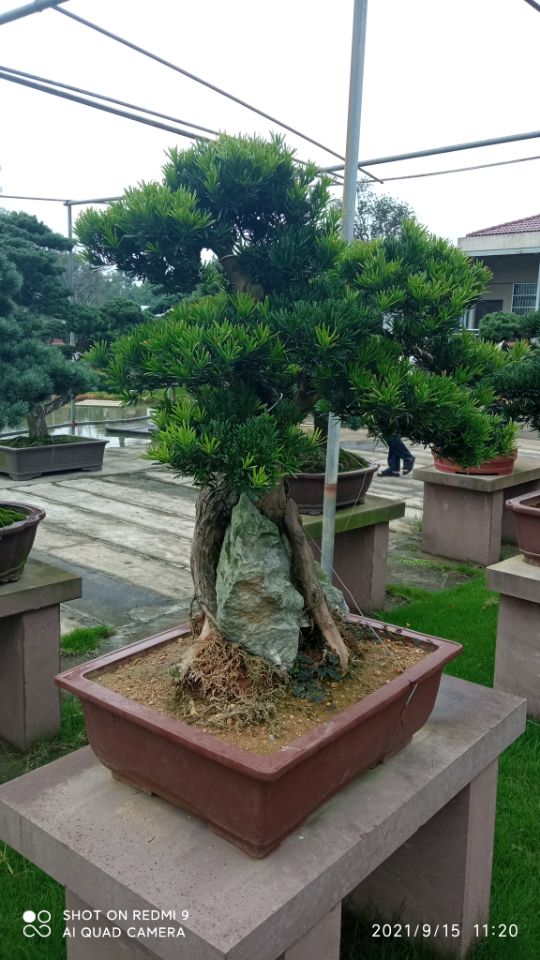 海滩涂建设软土固化剂订制自有生产工厂