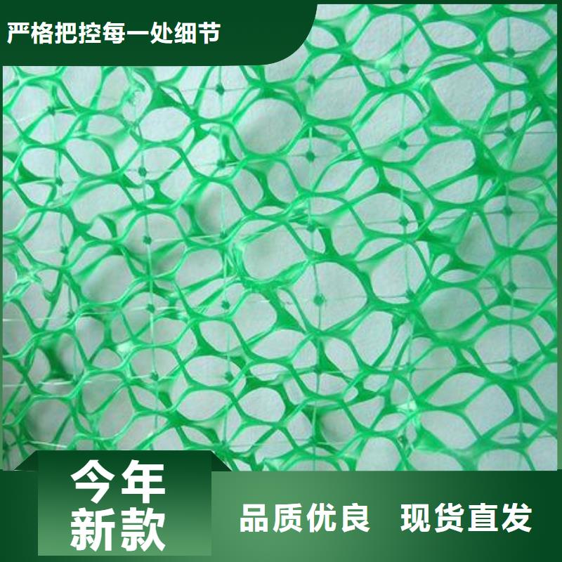 三维土工复合排水网厂家三维复合排水网价格土工排水网多少钱专注生产制造多年