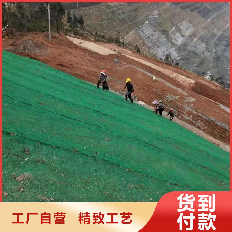 三维植被网厂家自产自销量大从优欢迎订购本地经销商