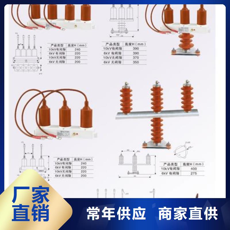 TBP-C-42/200F过电压保护器高品质现货销售