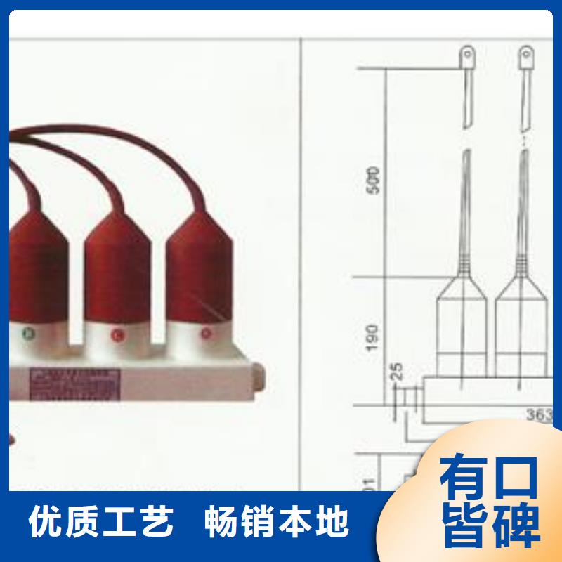 TBP-C-12.7/131过电压保护器优选货源